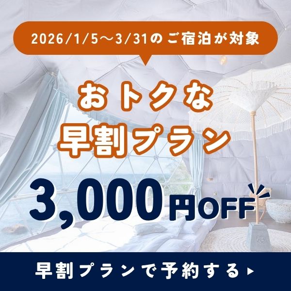 セールプラン
